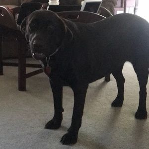 Meet your Posher, Rae beth